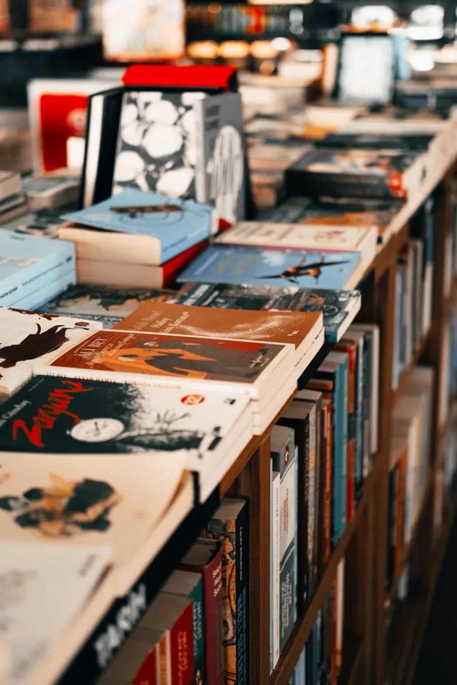 Biblioteca Lazzerini, letture d’estate per bambini e ragazzi