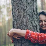 Firenze, mozione sui boschi terapeutici nel Servizio sanitario