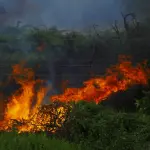 Firenze, terza squadra antincendi nei comuni a sud-ovest
