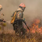 Incendio al Macrolotto 2 di Prato, ARPAT monitora il fumo