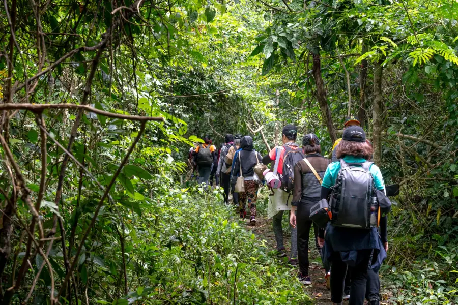 Valdambra Trail 2026, gare e trekking dal 9 all’11 ottobre